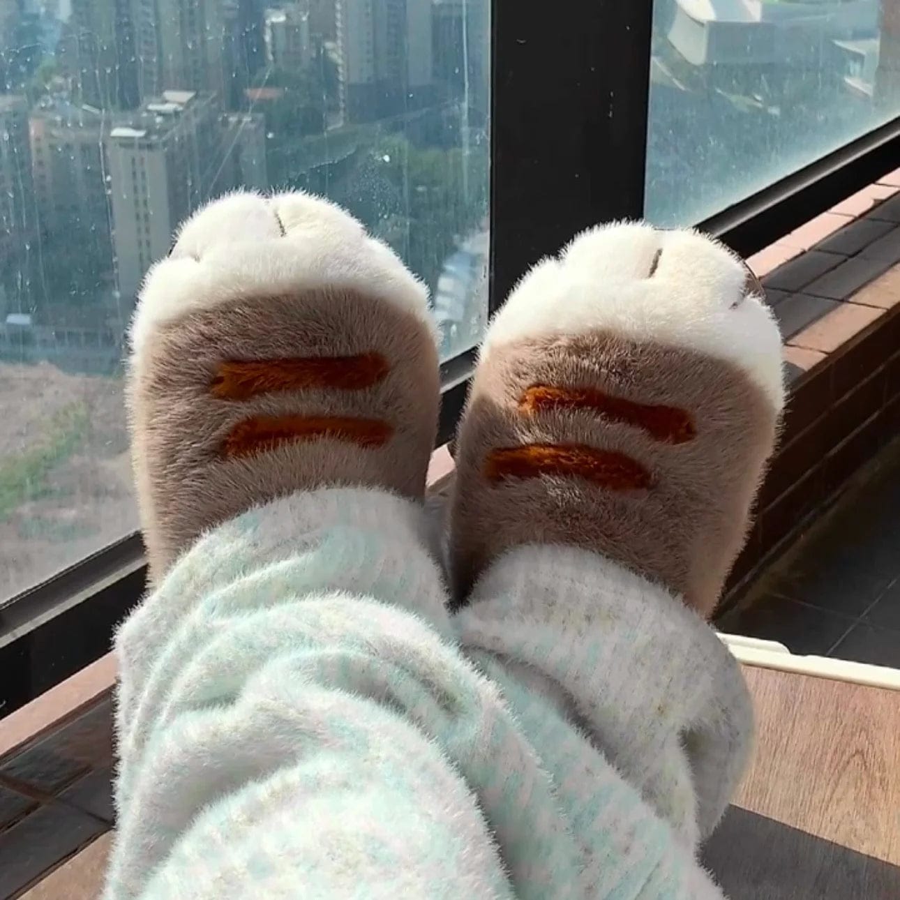 Cozy Cat Slippers