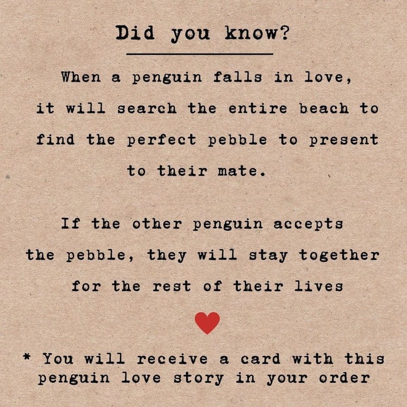 Cute Penguin Pebble for Your Valentine